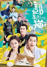 Принцесса-кошка